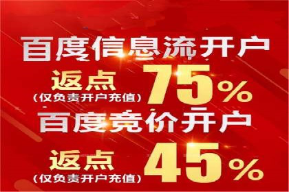 百度竞价运营策略：成功案例解析